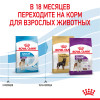 Royal Canin Giant Junior для собак