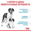 Royal Canin Giant Starter для собак