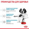 Royal Canin Giant Starter для собак