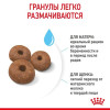 Royal Canin Giant Starter для собак