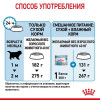 Royal Canin Giant Starter для собак