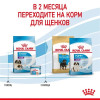 Royal Canin Giant Starter для собак