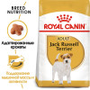 Royal Canin Jack Russell Adult для собак