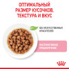Royal Canin Kitten Instinctive (соус), 85 г