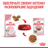 Royal Canin Kitten Instinctive (соус), 85 г