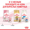 Royal Canin Kitten Instinctive (соус), 85 г
