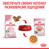 Royal Canin Kitten Instinctive (желе), 85 г