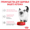 Royal Canin Kitten Instinctive (желе), 85 г
