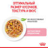 Royal Canin Kitten Instinctive (желе), 85 г