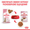 Royal Canin Kitten Sterilised (соус), 85 г