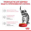 Royal Canin Kitten Sterilised (соус), 85 г