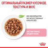 Royal Canin Kitten Sterilised (соус), 85 г
