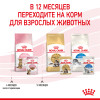 Royal Canin Kitten Sterilised (соус), 85 г