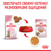 Royal Canin Kitten Sterilised (желе), 85 г