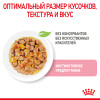 Royal Canin Kitten Sterilised (желе), 85 г