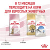 Royal Canin Kitten Sterilised для котят