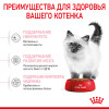 Royal Canin Kitten для котят
