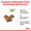 Royal Canin Kitten для котят
