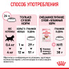 Royal Canin Kitten для котят