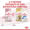Royal Canin Kitten для котят