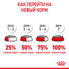 Royal Canin Kitten для котят