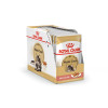Royal Canin Maine Coon Adult (соус), 85 г