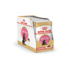 Royal Canin Maine Coon Kitten (соус), 85 г