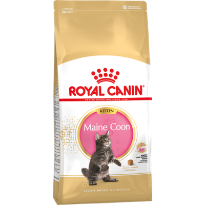 Royal Canin Maine Coon Kitten для котят