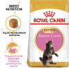 Royal Canin Maine Coon Kitten для котят