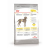 Royal Canin Maxi Dermacomfort для собак