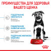 Royal Canin Maxi Puppy для собак