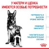 Royal Canin Maxi Starter для собак