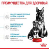 Royal Canin Maxi Starter для собак