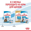 Royal Canin Maxi Starter для собак