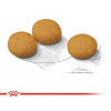 Royal Canin Medium Dermacomfort для собак