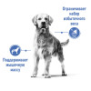 Royal Canin Medium Light Weight Care для собак, 3 кг