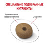 Royal Canin Medium Light Weight Care для собак, 3 кг