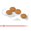 Royal Canin Mini Dermacomfort для собак