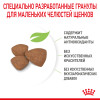 Royal Canin Mini Puppy для собак