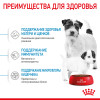 Royal Canin Mini Starter для собак