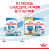 Royal Canin Mini Starter для собак