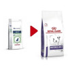 Royal Canin Neutered Adult Small Dog