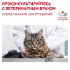 Royal Canin Neutered Adult Maintenance (в соусе), 85 г