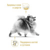 Royal Canin Pomeranian Adult для собак