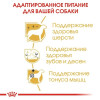 Royal Canin Poodle Adult для собак, 500 г