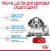 Royal Canin Puppy Medium для собак