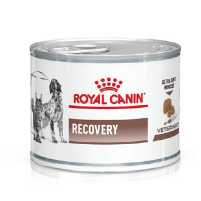 Royal Canin Recovery (мусс), 195г