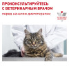 Royal Canin Renal Feline (Рыба), 85 г