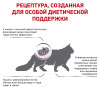Royal Canin Renal Special Cat