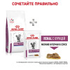 Royal Canin Renal Special Cat